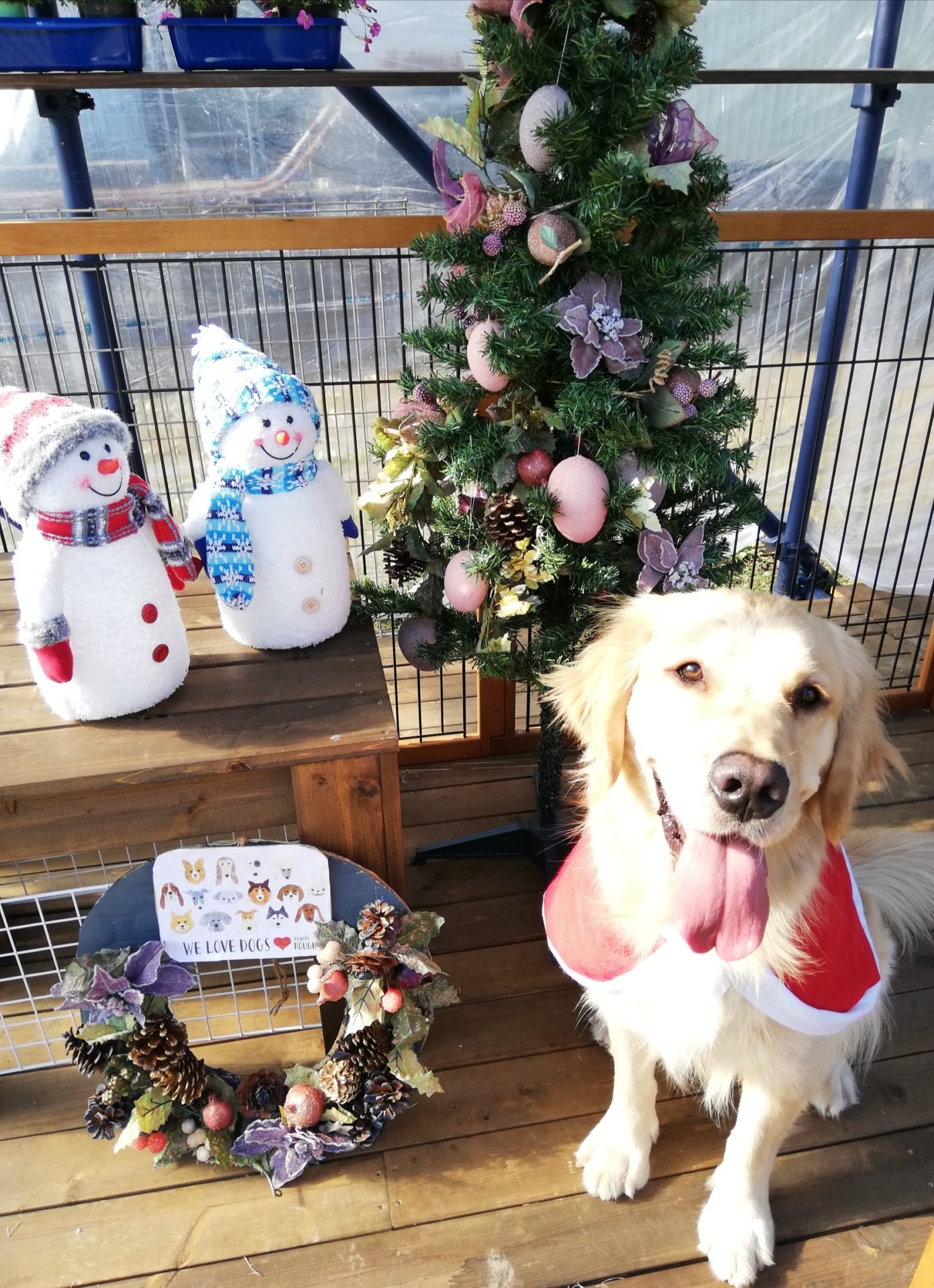 ファイル 7841-2.jpg