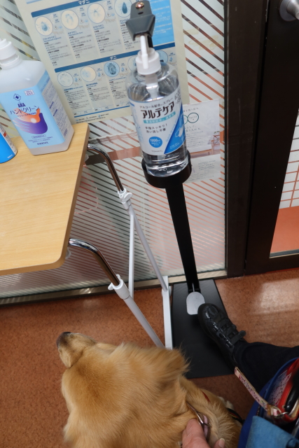 ファイル 7842-1.jpg