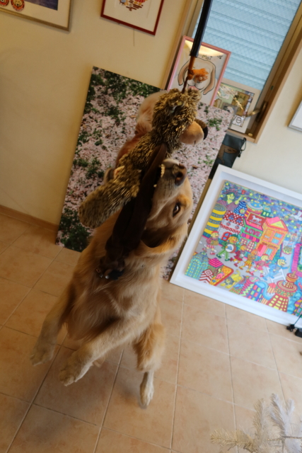 ファイル 7844-4.jpg