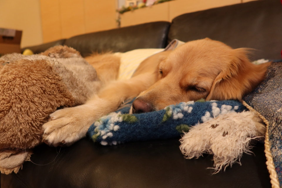 ファイル 7845-3.jpg