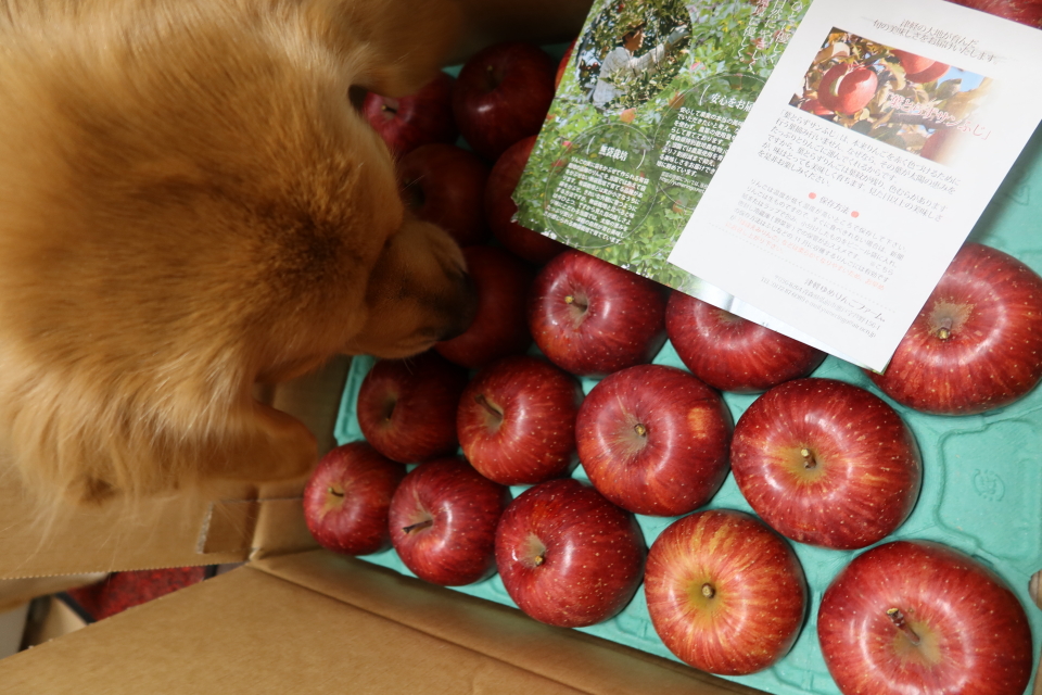 ファイル 7846-1.jpg