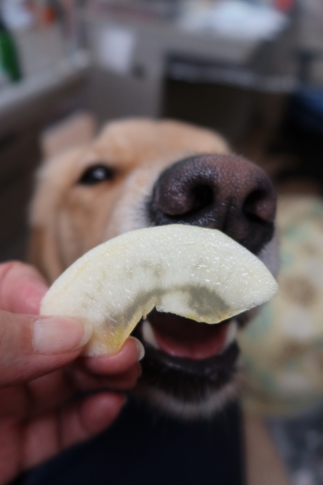 ファイル 7846-2.jpg