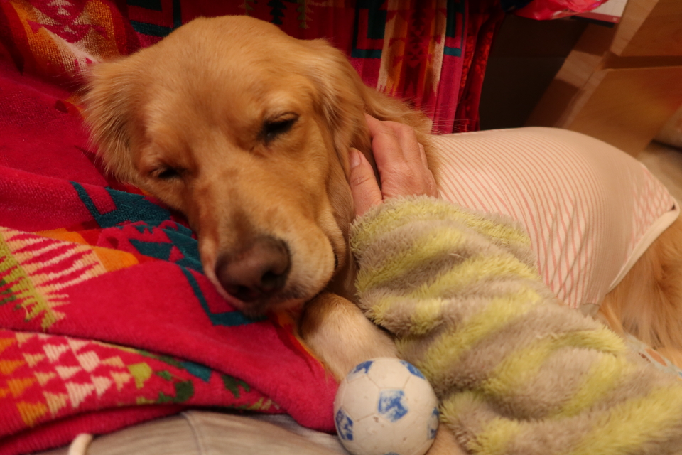 ファイル 7846-3.jpg