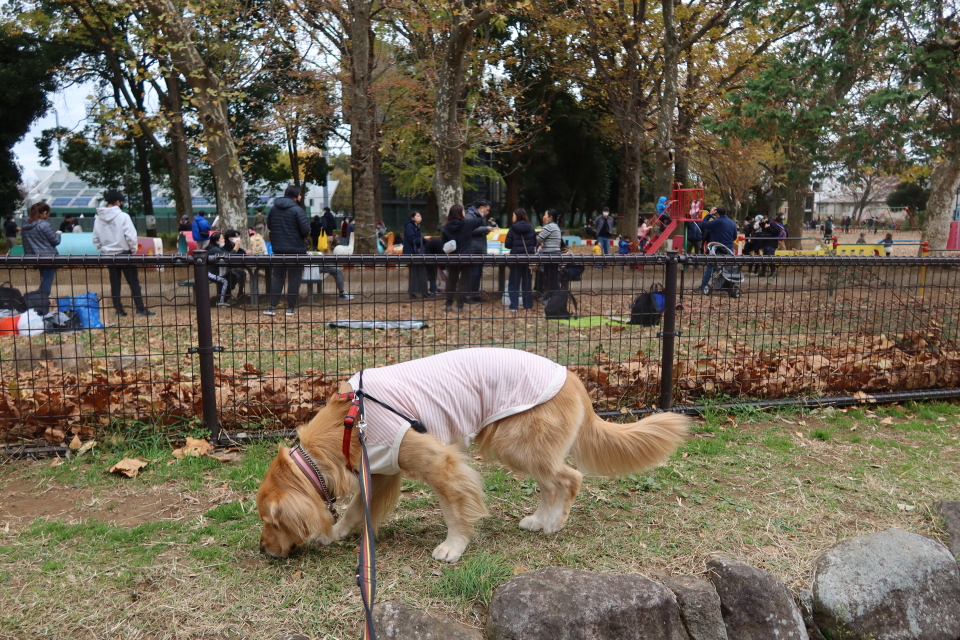 ファイル 7846-5.jpg