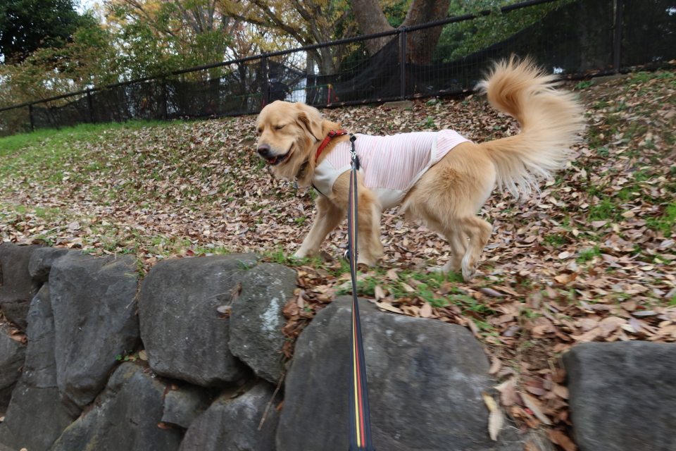 ファイル 7847-2.jpg