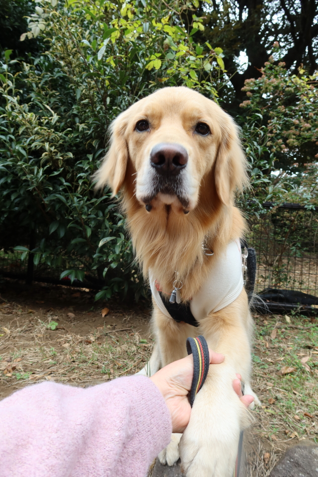 ファイル 7847-5.jpg