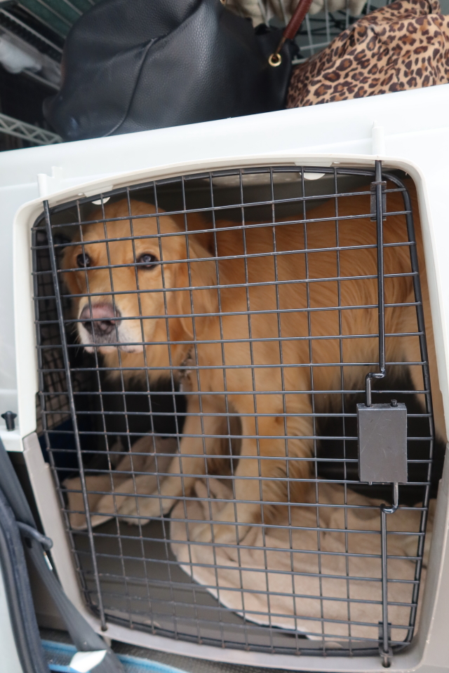 ファイル 7848-1.jpg