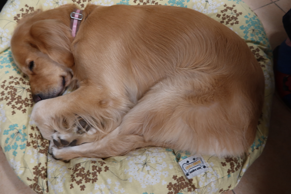 ファイル 7848-2.jpg