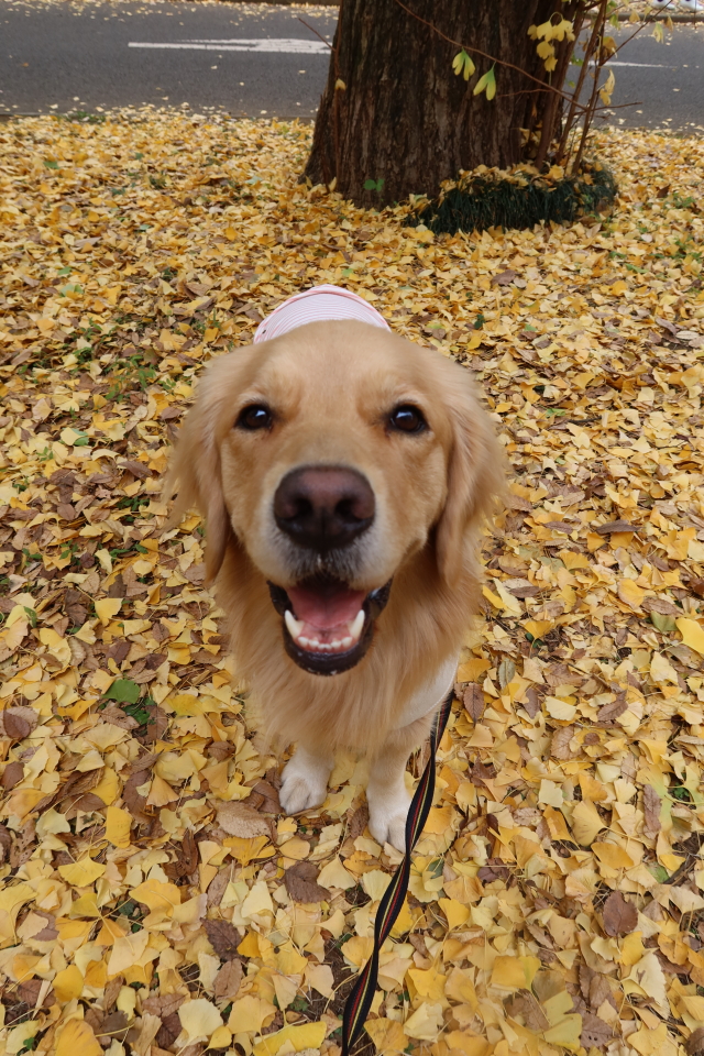 ファイル 7848-3.jpg