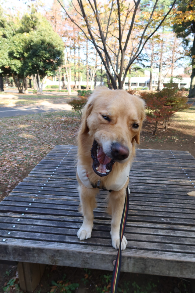 ファイル 7848-4.jpg