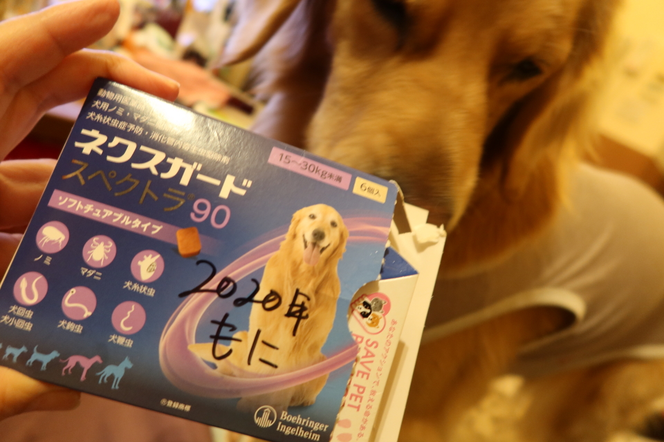 ファイル 7848-5.jpg