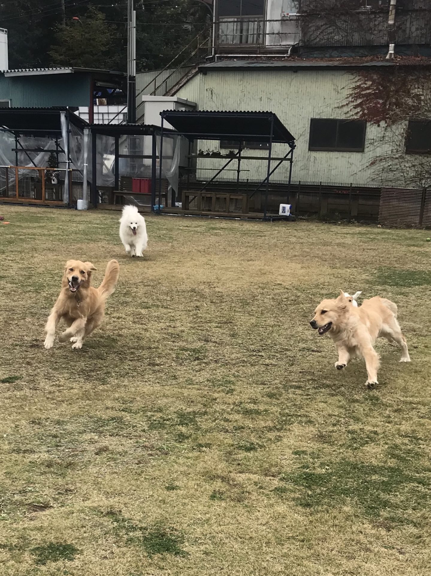 ファイル 7849-2.jpeg