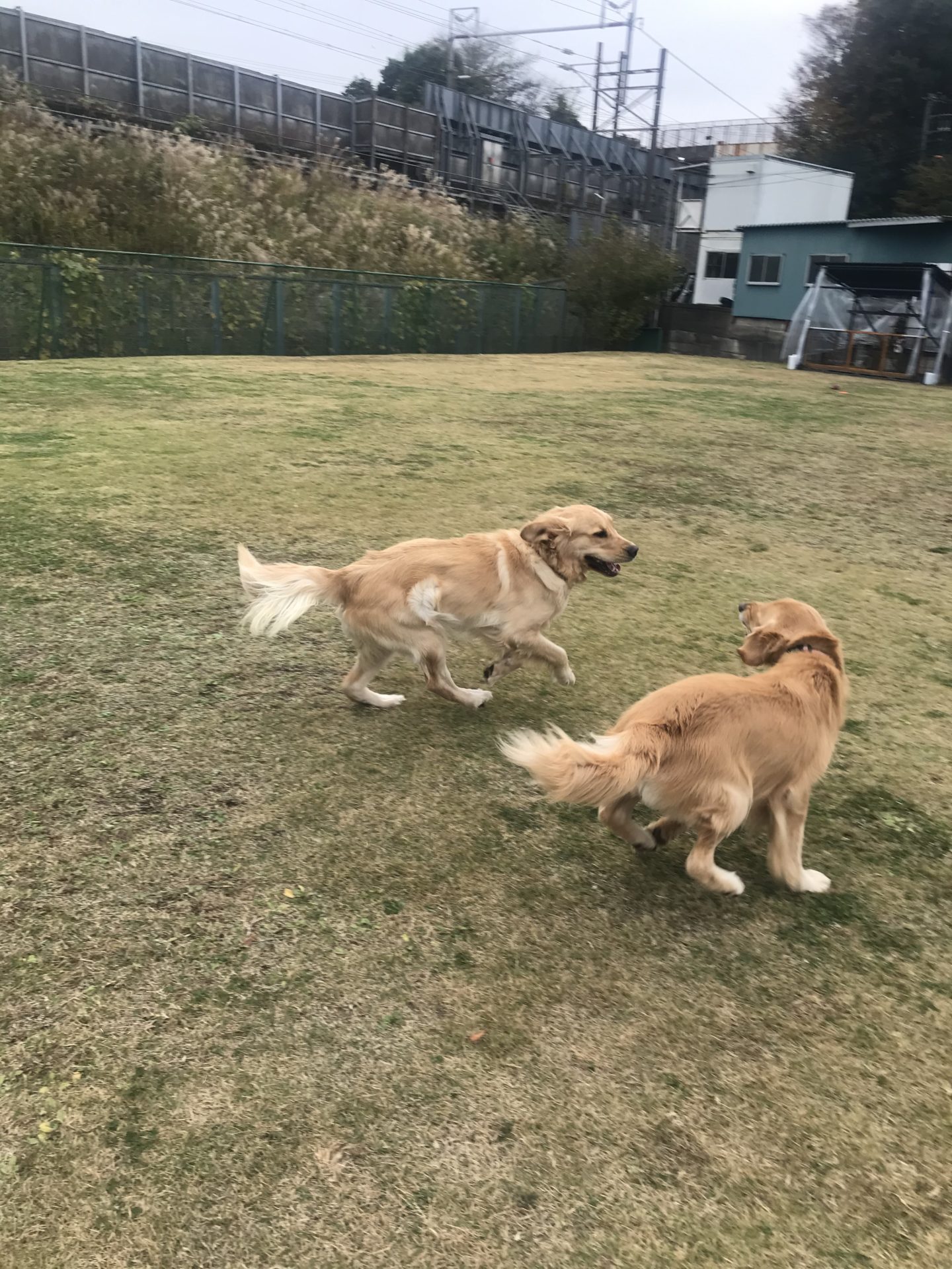 ファイル 7849-3.jpeg