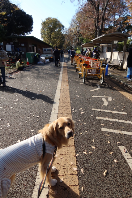 ファイル 7852-2.jpg