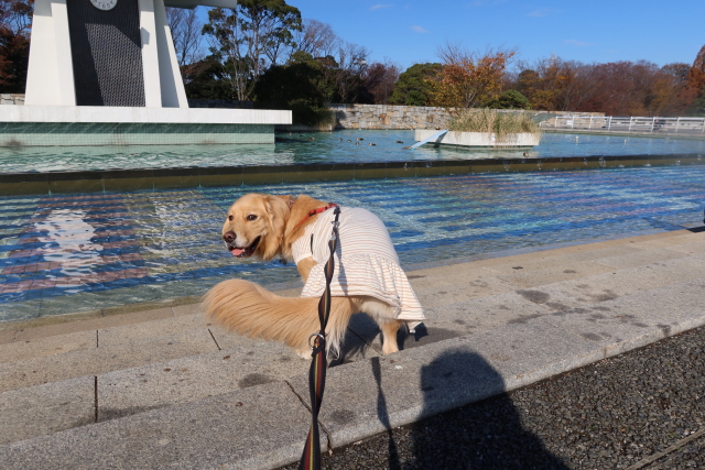 ファイル 7852-4.jpg