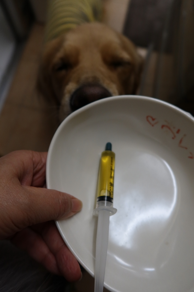 ファイル 7854-1.jpg