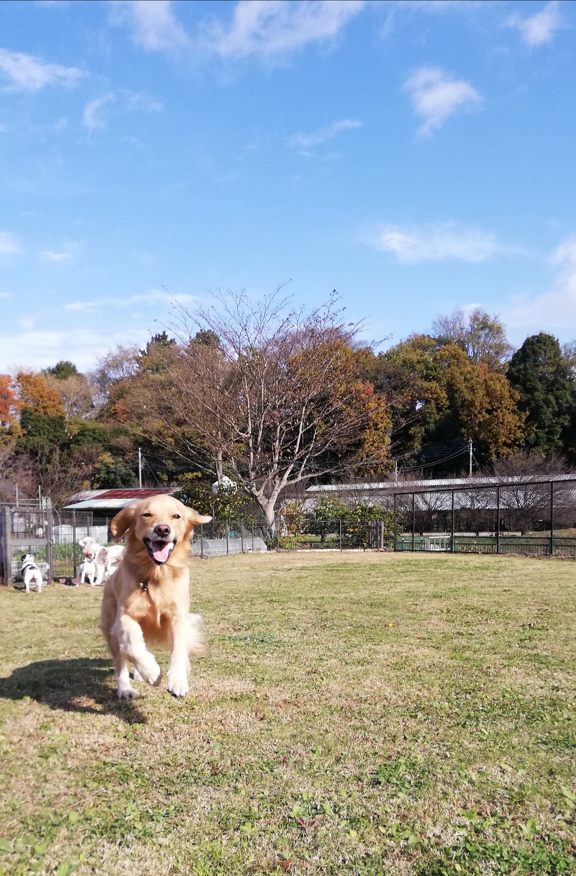 ファイル 7856-1.jpg