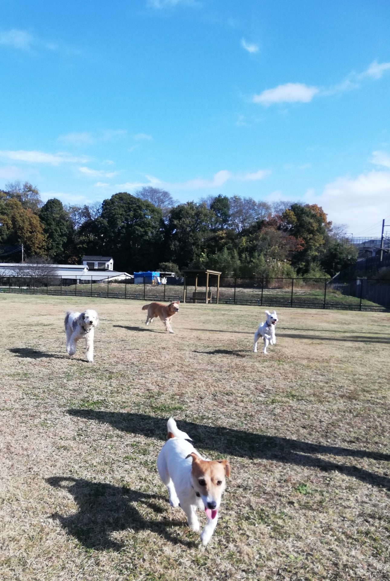 ファイル 7856-3.jpg