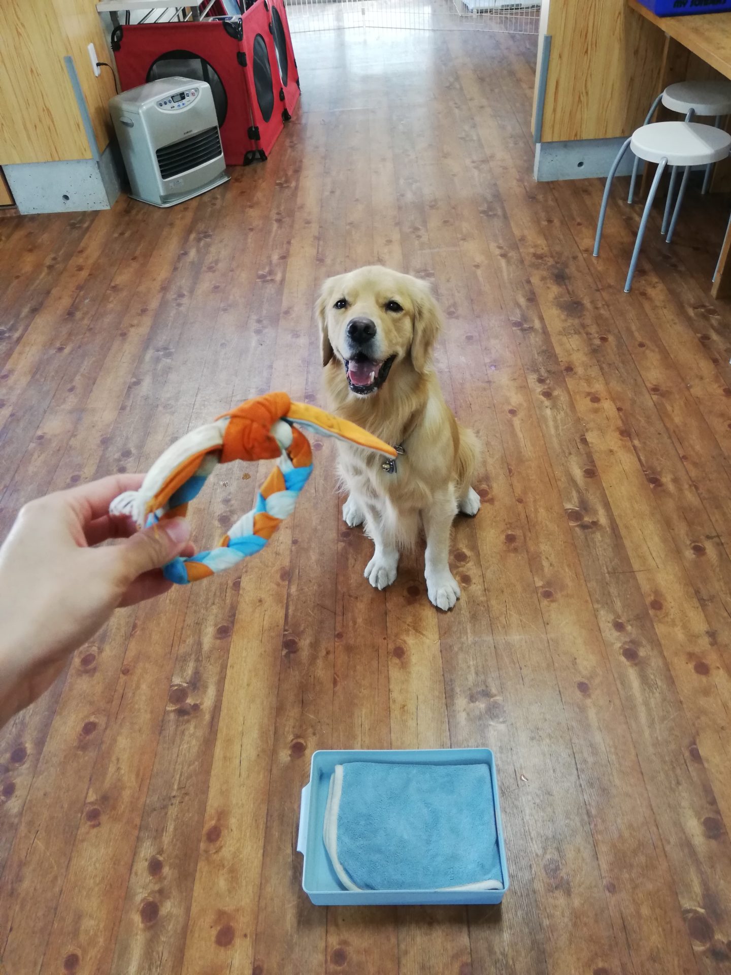 ファイル 7856-5.jpg