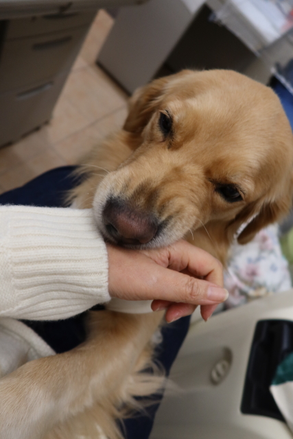 ファイル 7857-1.jpg