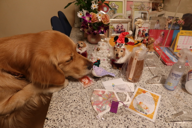 ファイル 7857-4.jpg