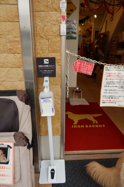 ファイル 7858-1.jpg