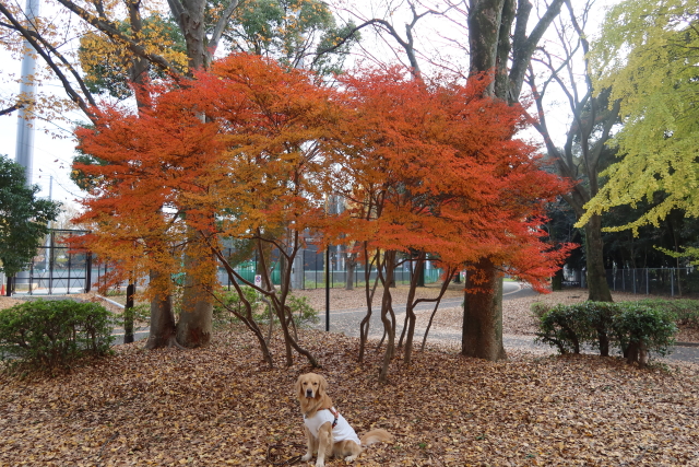 ファイル 7858-4.jpg