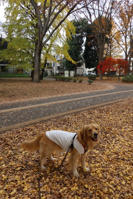 ファイル 7858-5.jpg