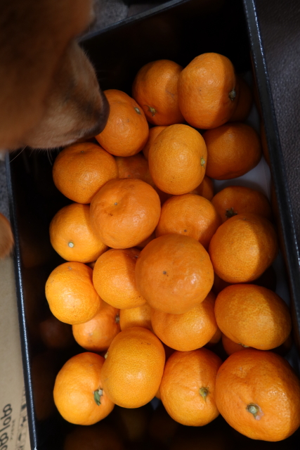 ファイル 7859-3.jpg