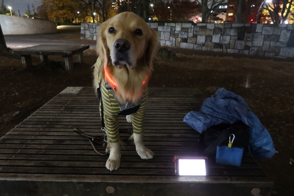 ファイル 7859-4.jpg