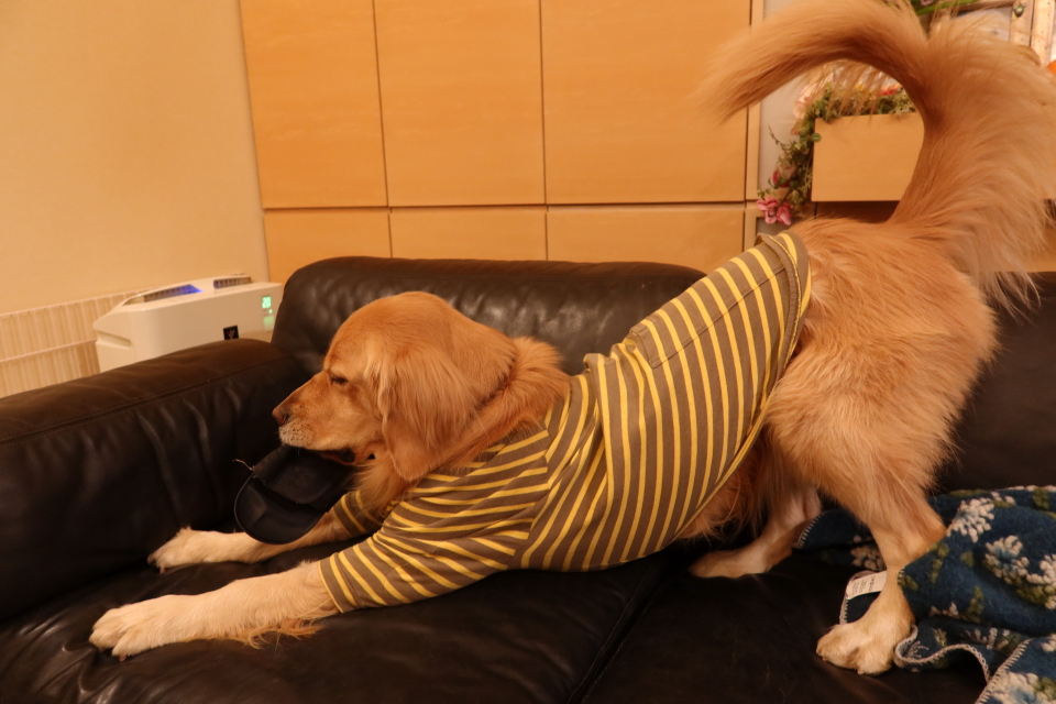 ファイル 7860-3.jpg