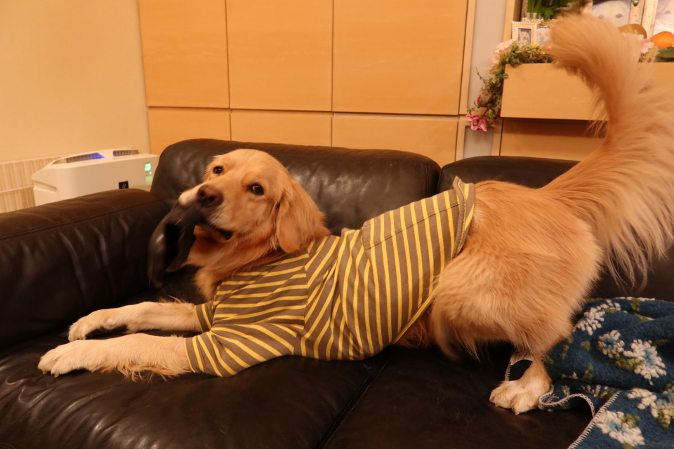 ファイル 7860-4.jpg