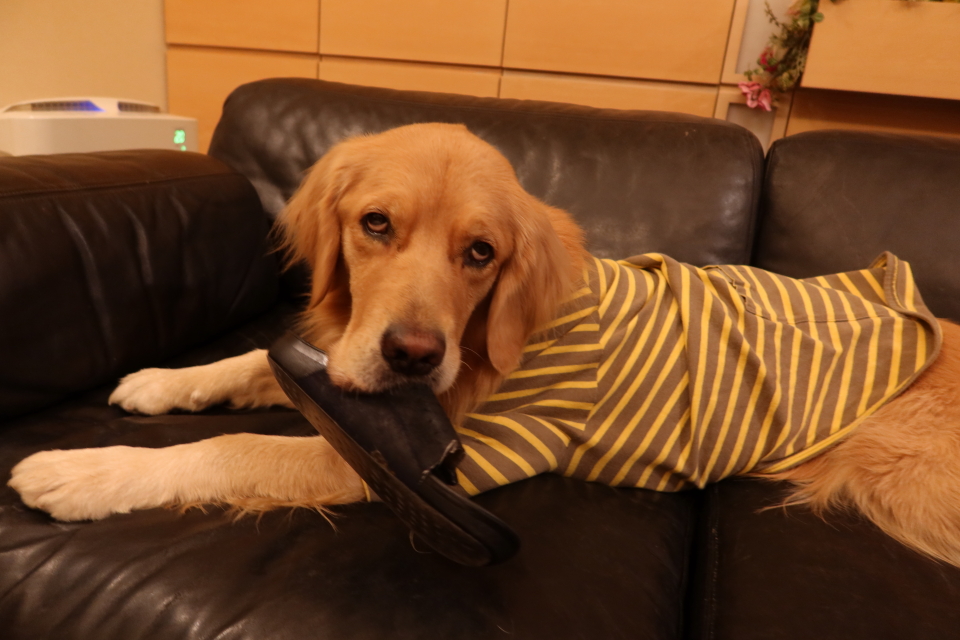 ファイル 7860-5.jpg