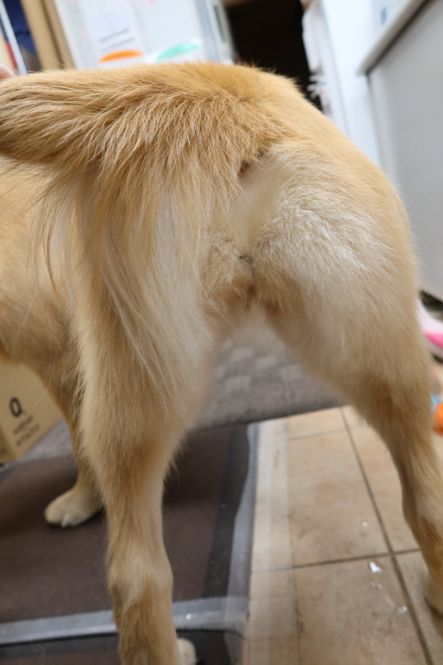 ファイル 7865-2.jpg