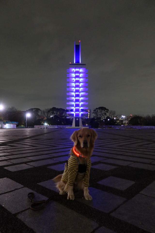 ファイル 7869-4.jpg