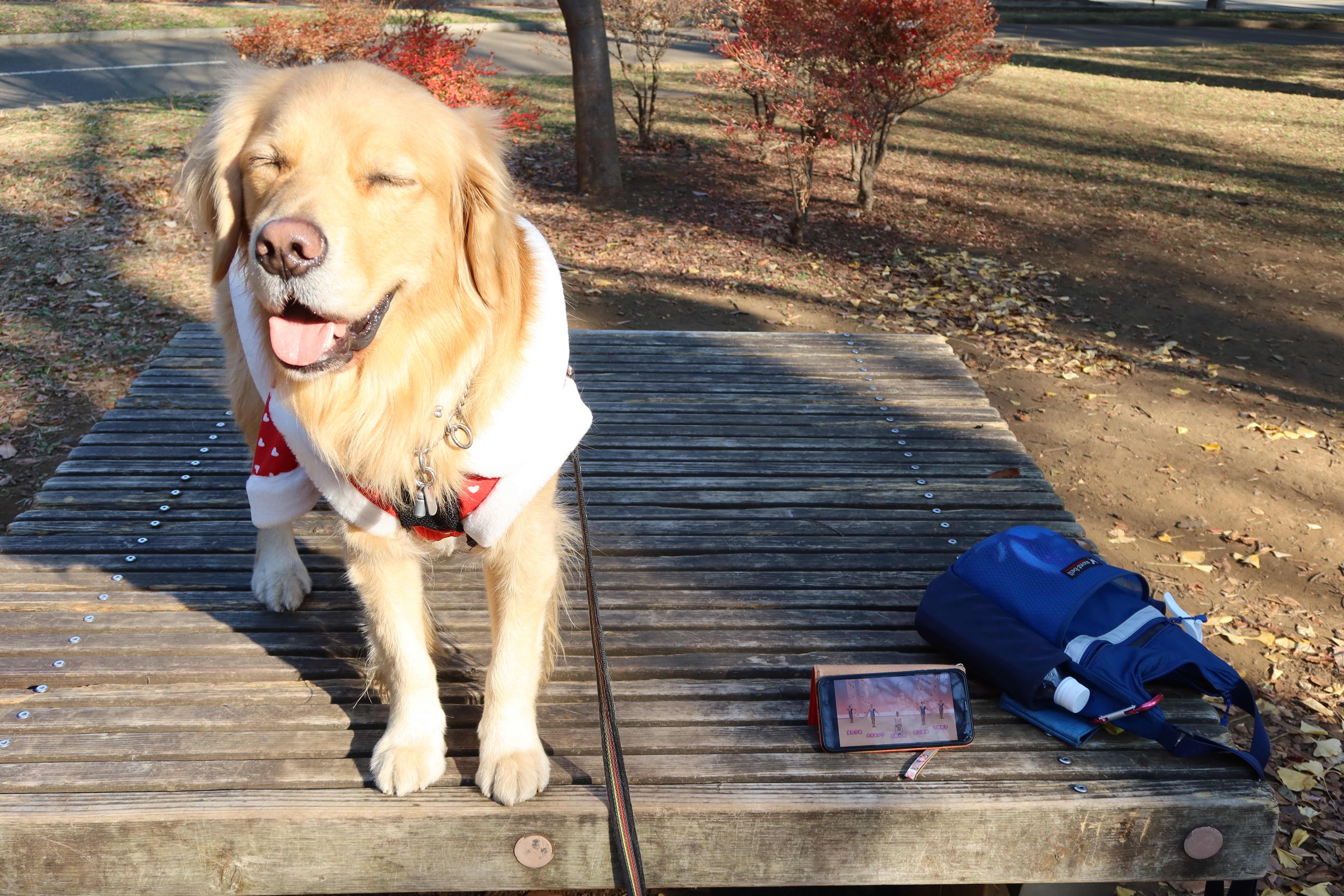 ファイル 7872-5.jpg