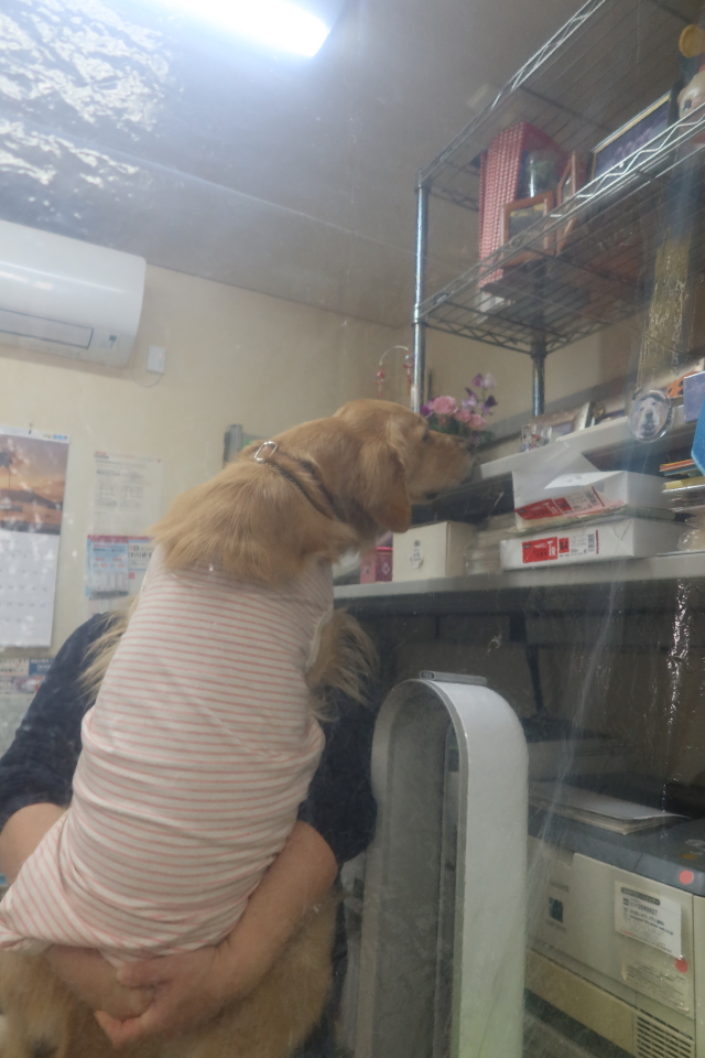 ファイル 7875-3.jpg