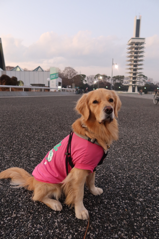 ファイル 7877-2.jpg