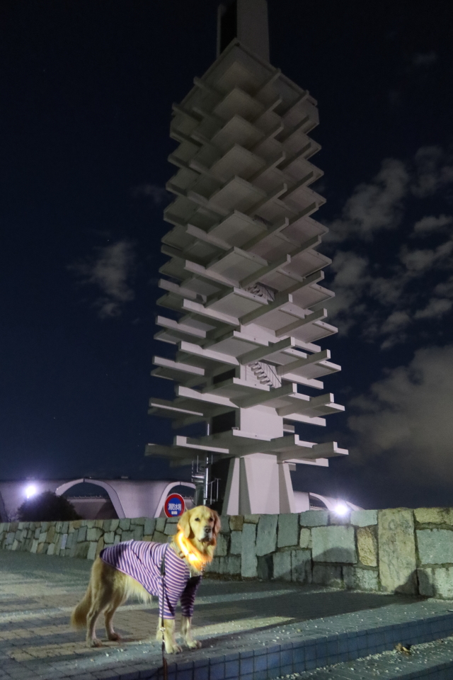 ファイル 7877-5.jpg