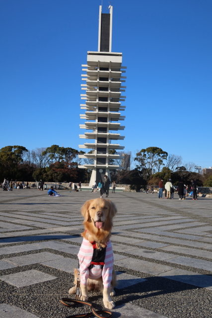 ファイル 7878-1.jpg