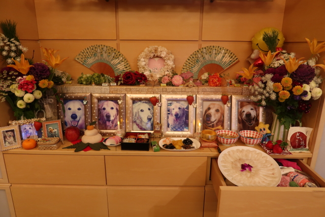 ファイル 7878-3.jpg