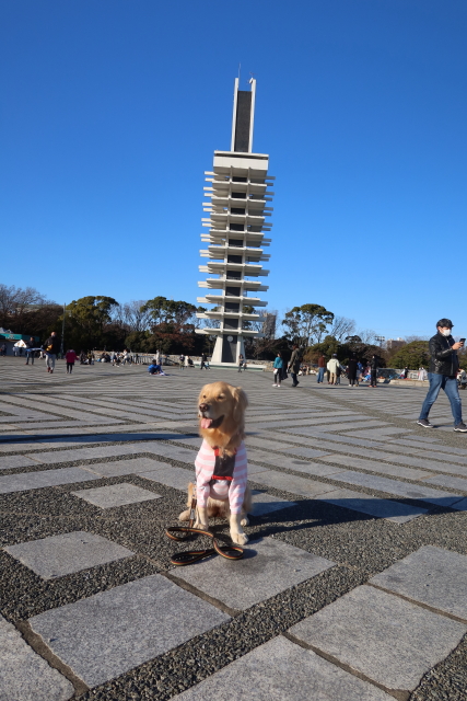 ファイル 7879-2.jpg