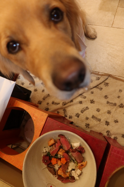 ファイル 7879-3.jpg