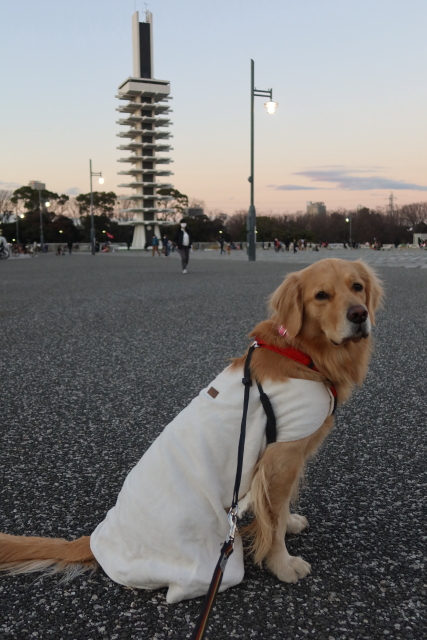 ファイル 7879-4.jpg