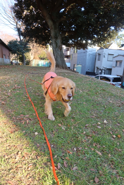 ファイル 7879-5.jpg