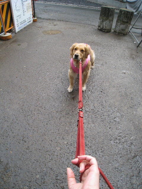 ファイル 788-1.jpg