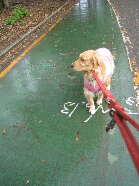 ファイル 788-2.jpg