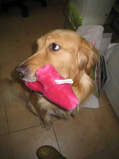 ファイル 788-4.jpg