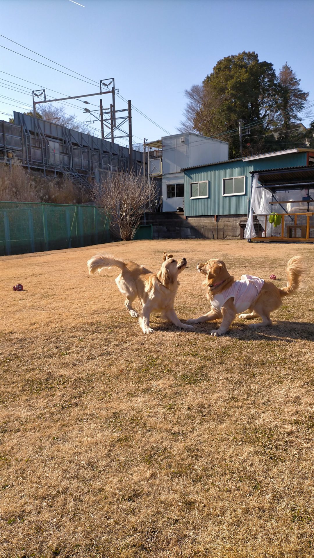 ファイル 7881-3.jpg