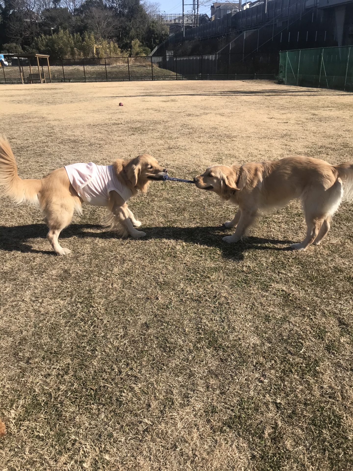 ファイル 7881-5.jpeg